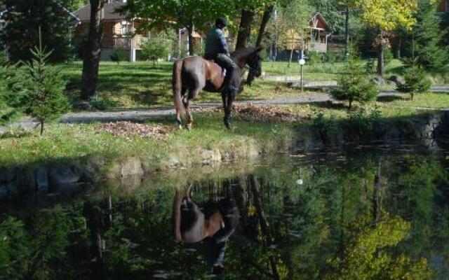 Отель Voevodyno Resort