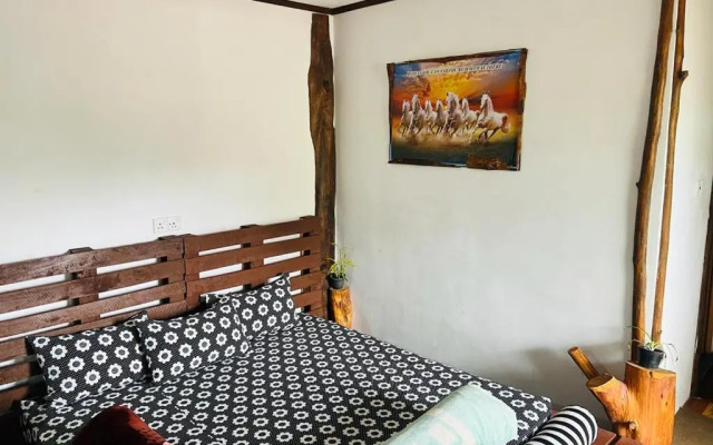 20/20 wood cabana