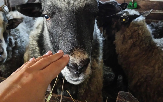 Дом в деревне Чернокуново