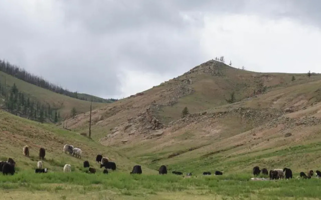 My Mongolia Eco Ger Camp