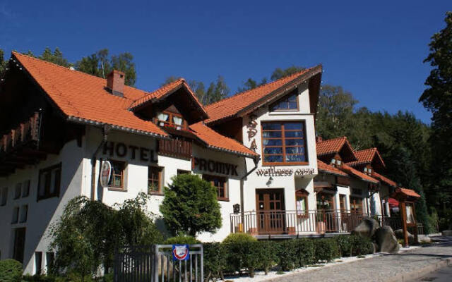 Spa Hotel Promyk