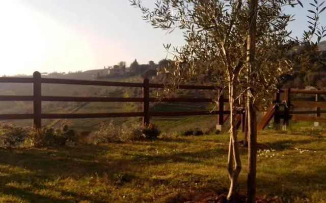 Immersi nella campagna Toscana
