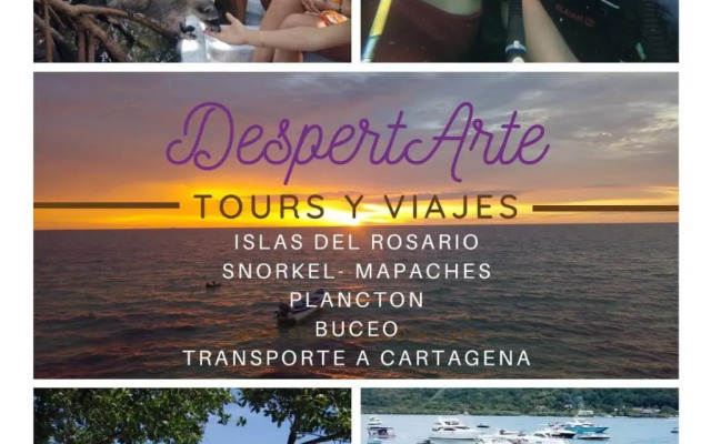 Restaurante y Hospedaje Baru