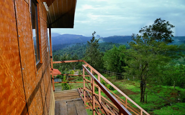 Punarjani Ayurvedic Resorts