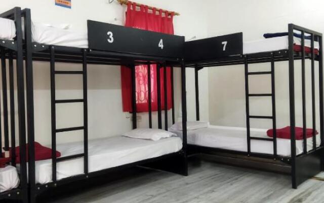 Kygo hostels