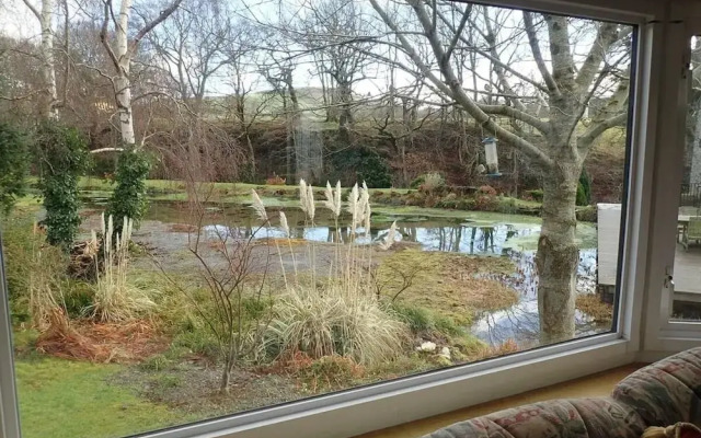 Millpond Chalet Retreat in Machynlleth