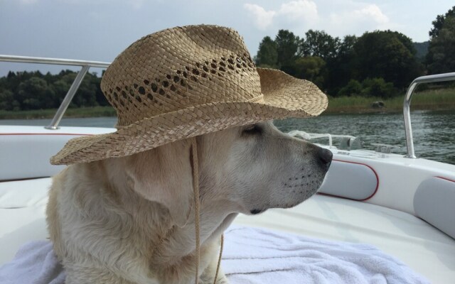 H & P Seepark Burhave