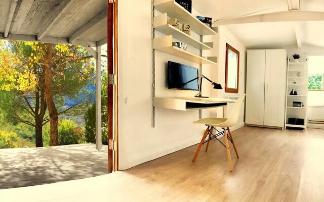 Wild Boar Mountain - France