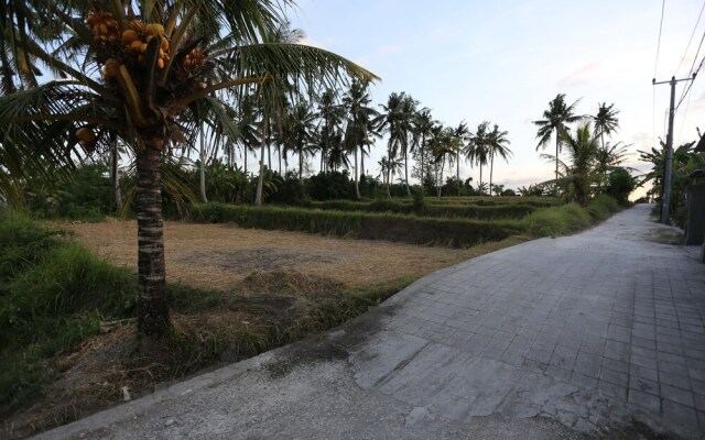 Wiki Bali