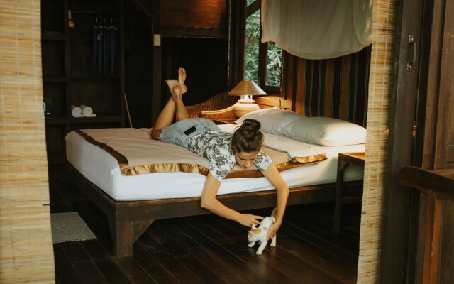 Our Jungle House