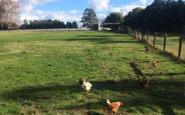 Will's Wonderland B&B & Farmstay