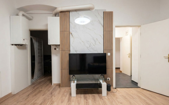 Cozy 1BR Apt with Lounge Central Vienna