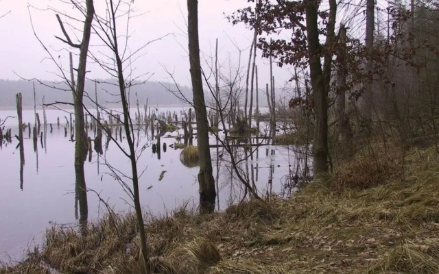 Schroder at the Aerie