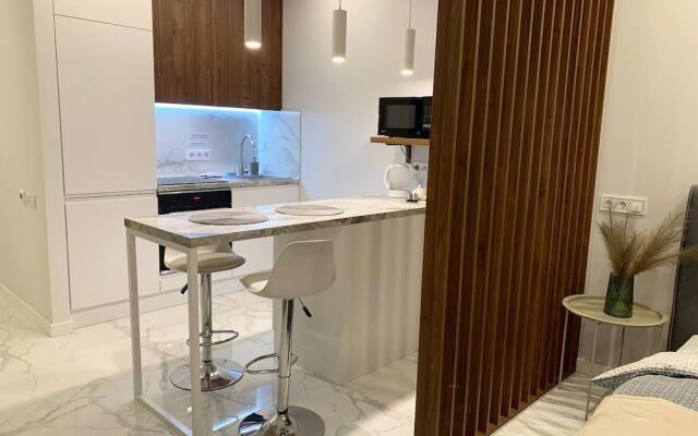 Апартаменты EcoLoft Studios