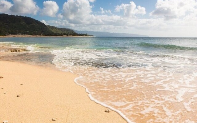 Haleiwa Sunshine 3 Bedroom Home