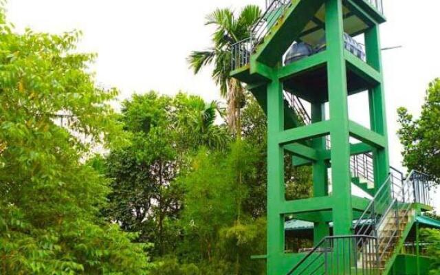 Shibi's Tea Garden Heritage