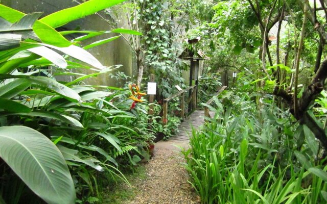 El Mariposario Montezuma Gardens