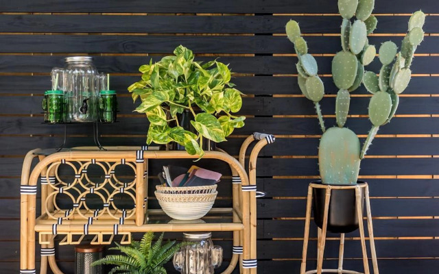 The White Dove Rockotel