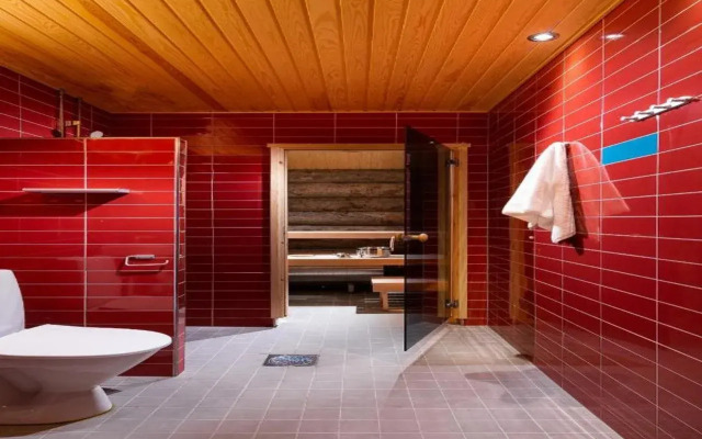 Kakslauttanen Arctic Resort