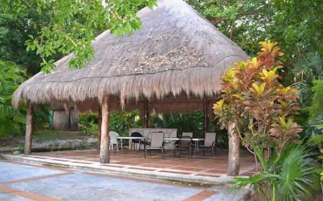 Aurora Caribe