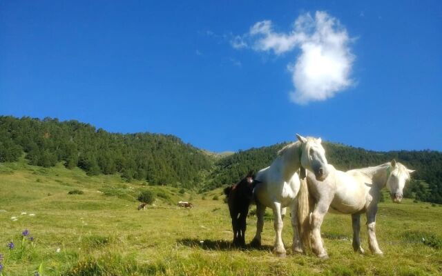 Studio in Canillo, With Wonderful Mountain View and Wifi - 2 km From the Slopes