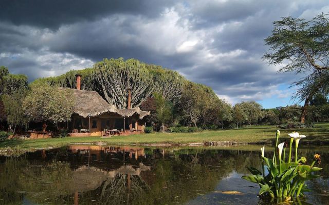 Rose Wood Lodge