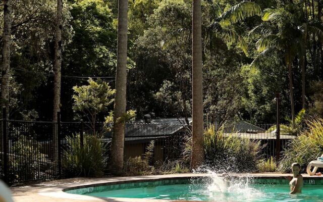 Mt Warning Rainforest Park
