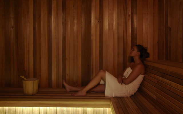 Terminal Neige - Totem