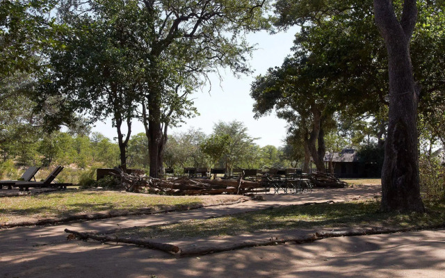 Shindzela Tented Safari Camp