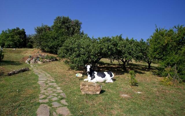 Casa Conti di Sotto