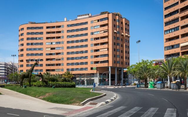 Fidalsa Paradise Premium