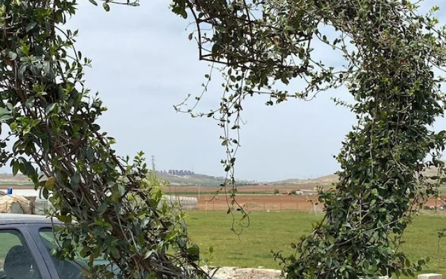 Göbeklitepe Bahce Saray