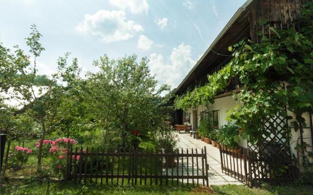 House, Garden and a Green Cat