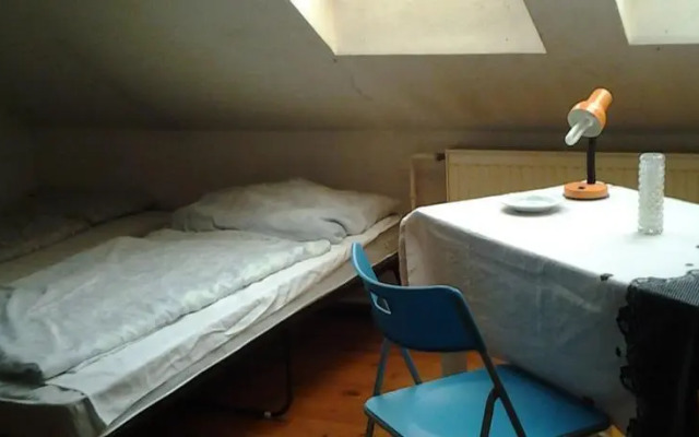 Apricot Hostel