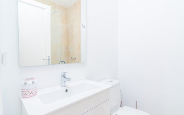 Torre Marina Alga Marina