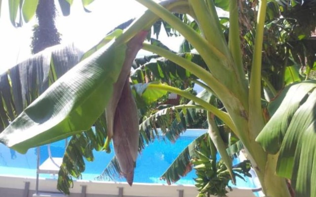 Agriturismo Ca' de Runde