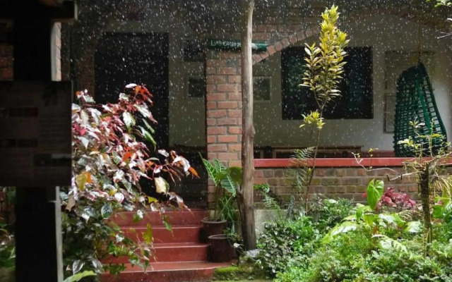 Rainforest Retreat