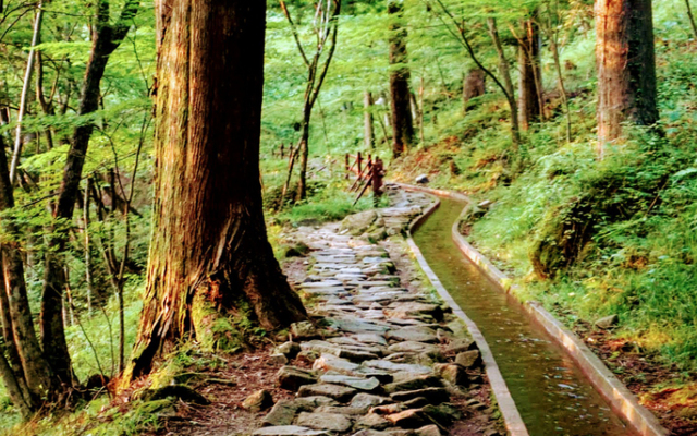 Ryori Ryokan Jumboike