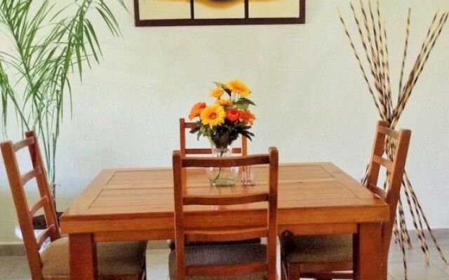 Tulipanes Cancun