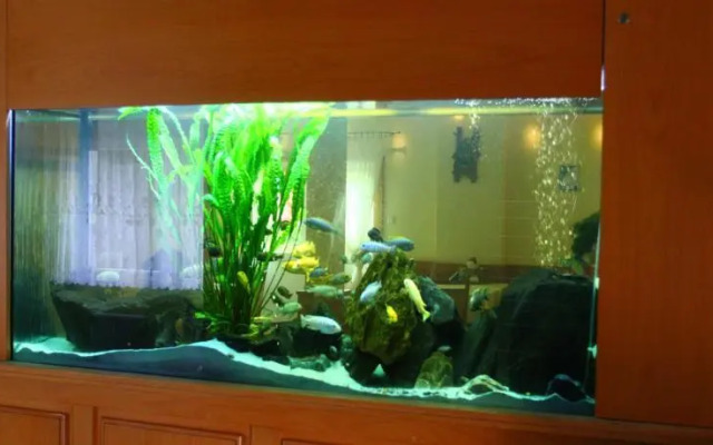 Zajazd Wielka Żuława