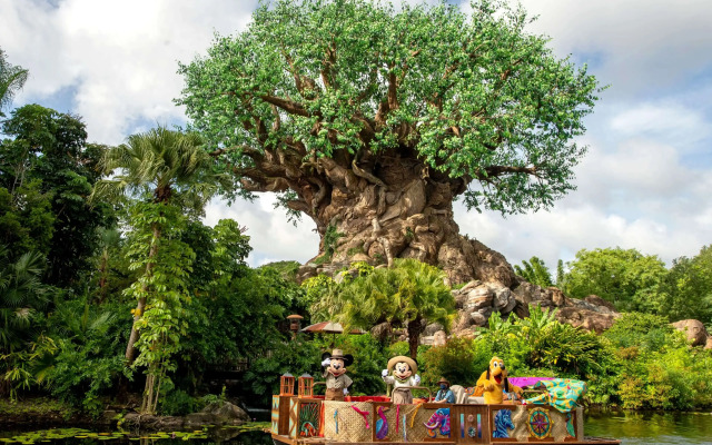 Wyndham Lake Buena Vista – Disney Springs® Area