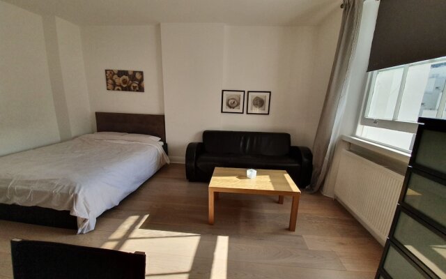 Studio Apartment in South Kensington 1