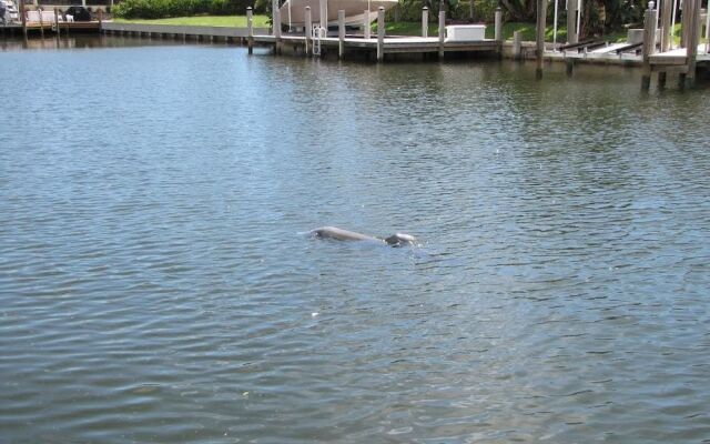 Waterfront Home With Pool and Western Exposure