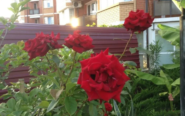 Rajskij Ugolok Guest House