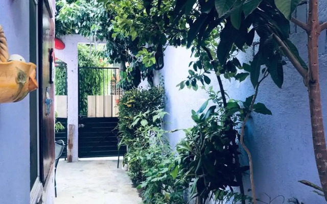 Kaya Hostal Apartments - Hostel