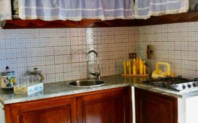 Il giardino del Falso Pepe