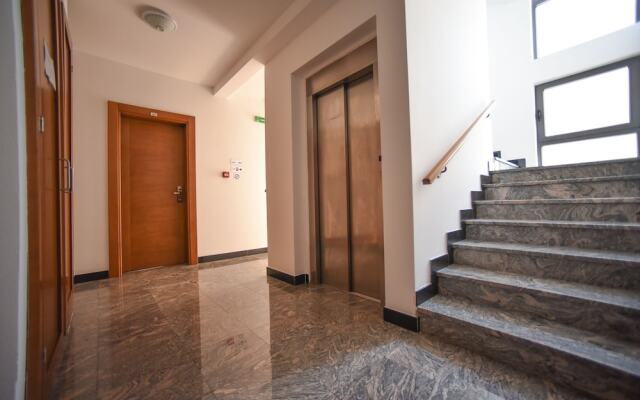 Hotel Paun