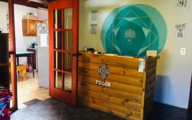 Hostel Raiz