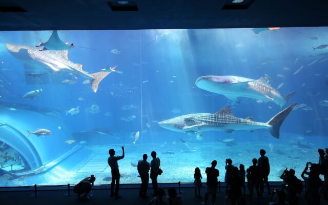 Little Island Okinawa Nago