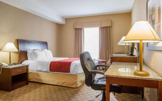 Comfort Inn & Suites